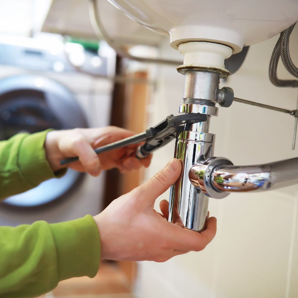 Plumbing Services Dubai (7) Bird Control Services